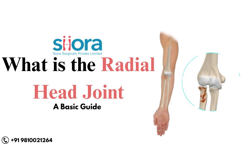 What is the Radial Head Joint